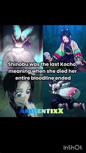Sad Facts About Demon Slayer Part 8