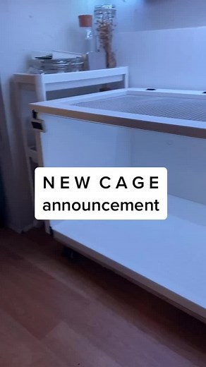 New Linnmon Cage from Ikea for Hamsters