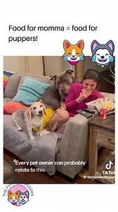 🤣🤣🤣 | New Zealand Pet Lovers