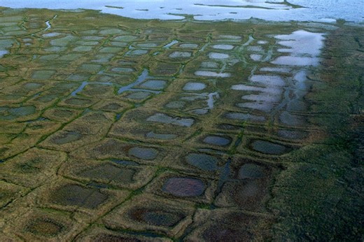 Winter drilling program in Alaska petroleum preserve can proceed, judge rules