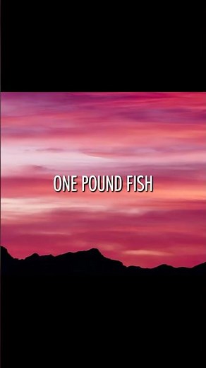 £1 Fish Man - One Pound Fish (Lyrics) #music #shorts