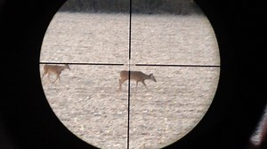 1.8K views · 11 reactions | Here is one amazing option that you have when you use iScope! | IScope Optics | Facebook