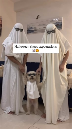 POOKIE 🐾 on Instagram: "No tricks, only treats! 🎃"