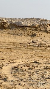 Perfect Shot During the Hunting Season #Hunting #Wildlife #Nature #OutdoorLife #EthicalHunting #HuntingSeason #RespectNature #FishingAndHunting #WildlifeExperience | الصيد في انحاء العالم