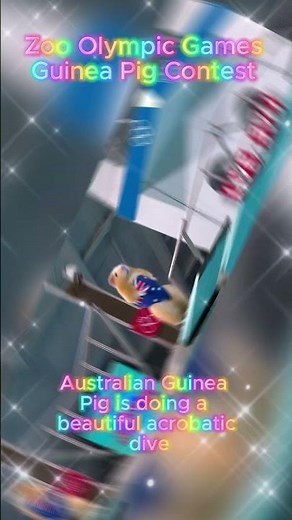 Olympic Games Freestyle Acrobatics Dives? · Guinea Pig Contest · Round Four