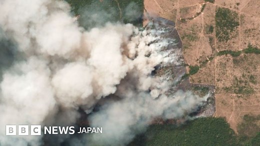 【解説】 アマゾンの森林火災、どれくらいひどいのか - BBCニュース