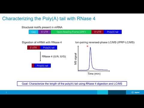 WCBP Symposium presentation