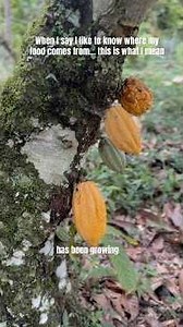 The best ceremonial cacao I’ve ever had comes from here