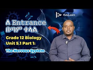 Grade 12 Biology: Unit 5 | 5.1 Part 1 | The Nervous System