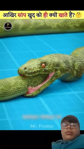 How to you Why snakes Eat Themselves