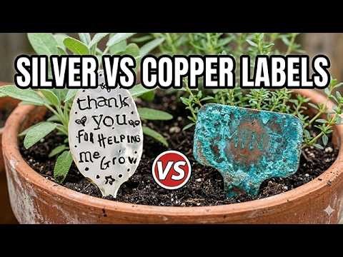 Why Gardeners Choose Silver Plate Over Copper for Plant Markers