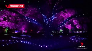 Thanks to 7NEWS Perth for this amazing story on Bloom Joondalup. You are welcome back any time! This yarn has certainly created 'a buzz' of excitement across Perth. Tickets available at: https://ow.ly/xWzG50WupR5 | City of Joondalup - Government
