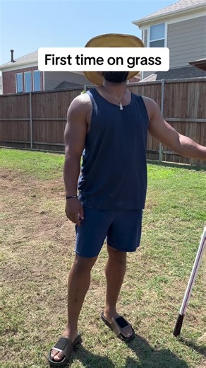 Introducing Our New Jack Russell Terrier: Training and Bonding Journey