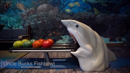 2.2K views · 33 reactions | Rain or shine, there are so many fun things to do at Destin Commons! Have you been to Uncle Buck's Fish Bowl & Grill Destin FL? | Destin Commons | Facebook