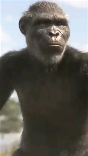 Theory of evolution | human evolution | evolution of human animation #shorts #youtubeshorts #human