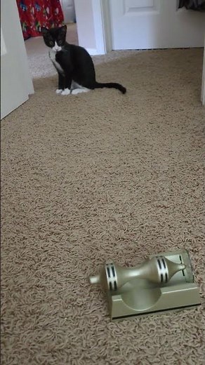 Mozart's Toy Museum: Day 52 - Revolution Anti-Gravity Spinning Toy