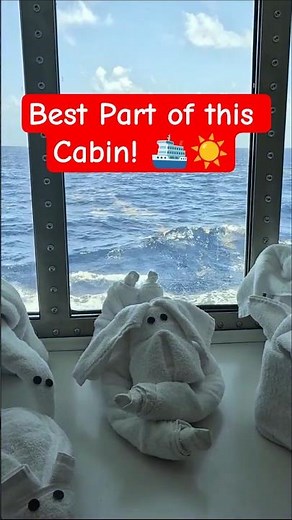 The BEST Part of Carnival Jubilee Cabin #4293! 🪟✨