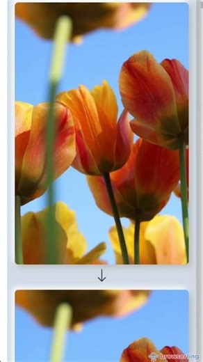 How to Reduce PNG File Size Without Losing Quality.