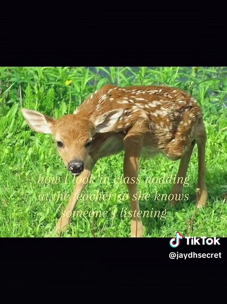 Understanding Empathy in Class Engagement