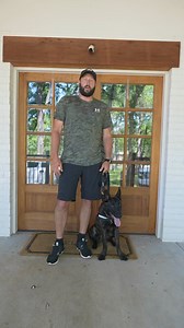 Meet Remi, our incredible mold detection dog! 🐾 Remi is a Dutch Shepherd, known for their intelligence, agility, and high energy. What makes Remi truly special is her toy motivation – she’s driven by her love for her toys, which keeps her eager and focused during searches. 🎾Unlike food-motivated dogs who can get full and lose interest, Remi’s toy motivation allows her to search more homes and help more clients each day without losing her enthusiasm. This makes her an invaluable part of our tea