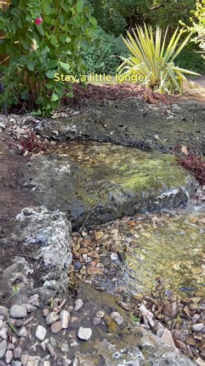 The best backyards aren’t just something to look at. They’re places people naturally want to sit, talk, and stay a while.