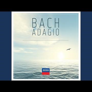 J.S. Bach: Sleepers, Awake!