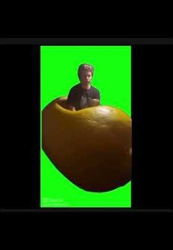 Pt 12