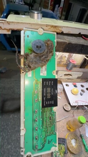 IFB Washing Machine Rotary Switch Rat Problem! 😱🐀 #ManojAtoZRepair #shorts