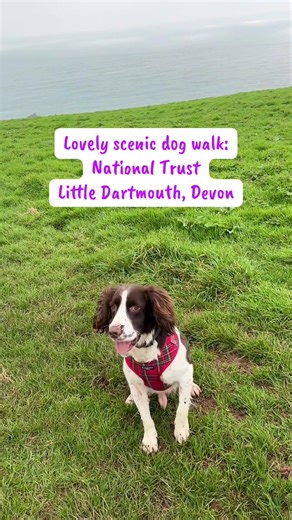 The VIEWS! 😍💜 This gorgeous dog walk was in Stoke Fleming, Devon near Dartmouth. It’s a National Trust site but you can absolutely go if you’re not a member and just pay a couple of £s to park. We walked the Coastal Path, it took us about 2 hours (and you can go for longer!) but there is a shorter circular walk too. Great walk if you’re in the area! #dogwalk #dog #devon