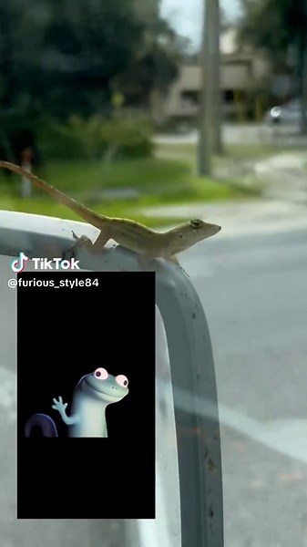 Lizard’s Thrilling Joyride Adventure