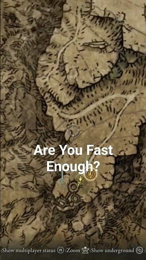 Chelona's Rise Beast Locations in Moonlight Altar #EldenRing