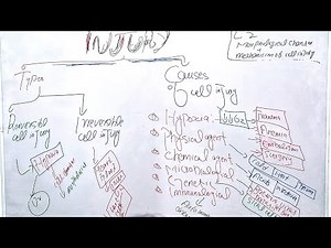 Cell Injury Explained | Reversible & Irreversible Injury | Causes of Cell Injury