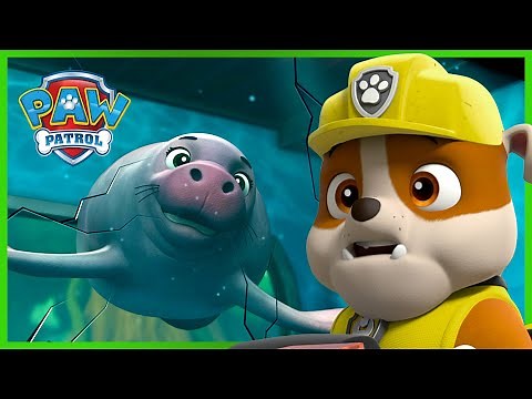 Rubble Saves a Manatee 🌊 - PAW Patrol Rescue Episode - Cartoons for Kids!