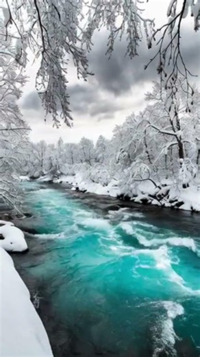 Deep Sleep Music 🌙 Relaxing Music for Sleeping and Stress Relief