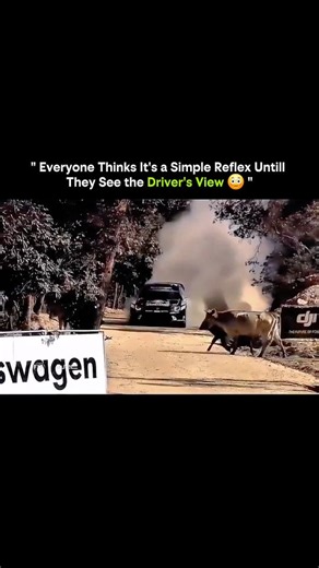 Knowledge Vertex on Instagram: "Everyone thinks it’s a simple reflex… until you see it from the driver’s point of view. What looks effortless is actually a chain reaction happening in milliseconds. Here’s what really happens: Your brain processes a moving object in under 0.2 seconds Signals fire through your nervous system at speeds up to 120 m/s Muscles respond before you consciously realize it Your reflex arc kicks in faster than your brain can think That “simple moment” is actually peak human