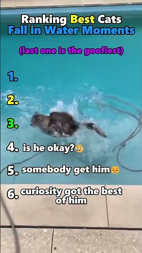 Ranking Best Cat fall in Water Moments!