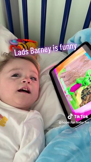 Barney's Fun Bumpity Bump Dance