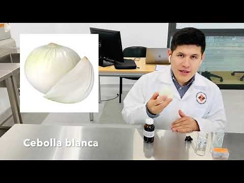 Visualización de células vegetales