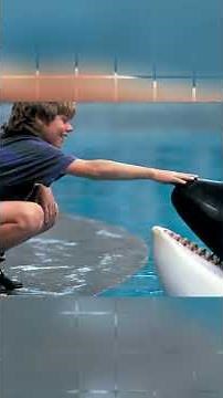 The Free Willy Reboot Is Real! Here's Every Detail Revealed