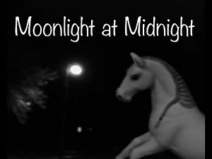 Moonlight at Midnight -2020 Halloween Schleich horse mini movie special- |Maple bush stables|