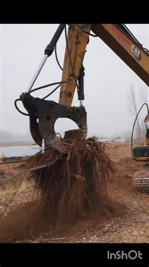Fast and Efficient: Tree Cutting Machine 🌲🌴 🚜 #woodworking #forest #treeremoval #youtubeshorts #like