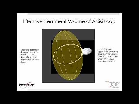 WEBINAR: Applications of the Assisi Loop in Small Animals