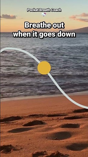 Long Exhale Breathing Technique (5-10) for Calm & Focus #relaxing #breathetaking #breathingexercises