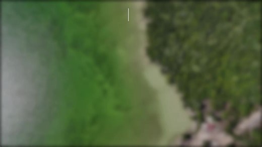 📌 Mark the date! Saturday, February 7th — come meet the developers and the RE/MAX Dorado team, ask questions, and choose the land you want to purchase. Your future starts with the right lot—don’t miss it!