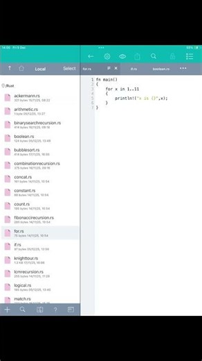 For loop program rust
