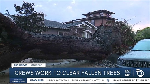 Crews work to clear fallen trees across San Diego after Monday's powerful storm