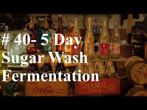 #40 - 5 Day Sugar Wash Fermentation