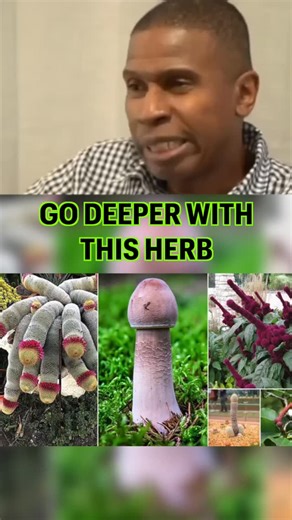 Dirty Roots™ on Instagram: "DIG DEEP WITH THIS HERB"