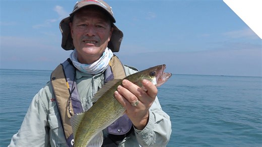 Summer walleye - Stingnose jigging spoon