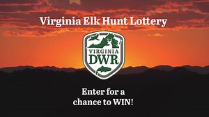 7.5K views · 39 reactions | Last chance to apply! If you've ever dreamed of hunting elk in Virginia, here's your chance. Virginia DWR's 3rd Elk Hunt Lottery offers hunters the opportunity to hunt bull elk in the Virginia Elk Management Zone this upcoming fall. Apply before it closes March 30. dwr.virginia.gov/wildlife/elk/hunting/elk-lottery/. #vawildlife #elkhunt #Virginia | Virginia Department of Wildlife Resources | Facebook